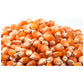 Dried Corn Kernels , Turkish, Natural